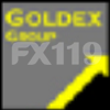 GOLDEX GROUP 外汇110